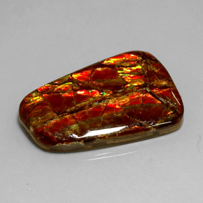 18.54캐럿 천연 멀티컬러 암몰라이트, 멋진 모양, 28.8×20.1 mm, 불투명체