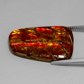 18.54캐럿 천연 멀티컬러 암몰라이트, 멋진 모양, 28.8×20.1 mm, 불투명체