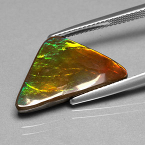 6.98캐럿 천연 멀티컬러 암몰라이트, 멋진 모양, 21.3×12.5 mm, 불투명체