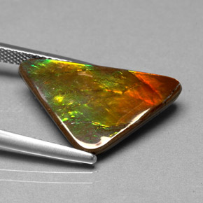 6.98캐럿 천연 멀티컬러 암몰라이트, 멋진 모양, 21.3×12.5 mm, 불투명체