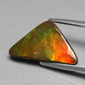 6.98캐럿 천연 멀티컬러 암몰라이트, 멋진 모양, 21.3×12.5 mm, 불투명체