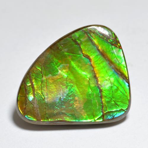 7.29캐럿 천연 멀티컬러 암몰라이트, 멋진 모양, 19.3×15.7 mm, 불투명체