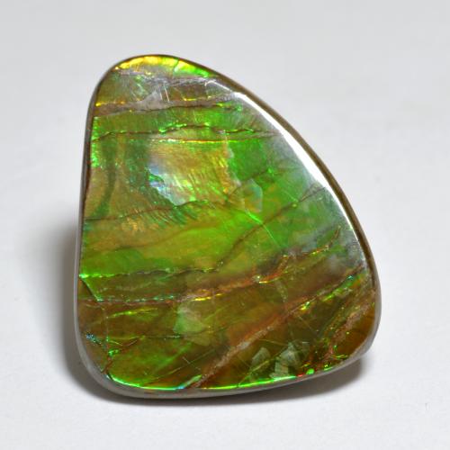 7.29캐럿 천연 멀티컬러 암몰라이트, 멋진 모양, 19.3×15.7 mm, 불투명체