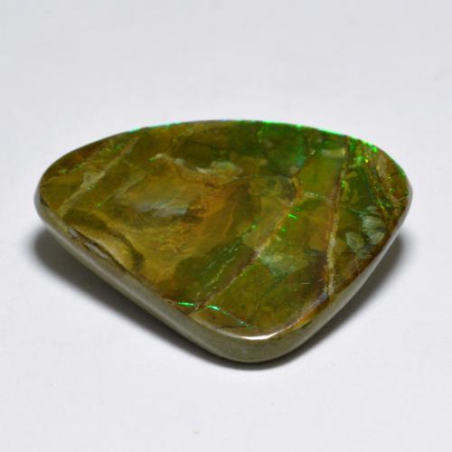 7.29캐럿 천연 멀티컬러 암몰라이트, 멋진 모양, 19.3×15.7 mm, 불투명체
