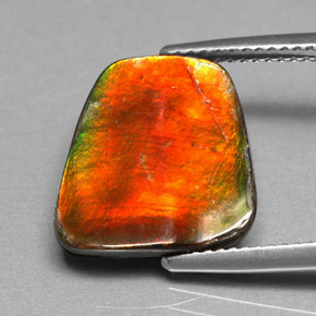 5.17캐럿 천연 멀티컬러 암몰라이트, 멋진 모양, 14.4×13.5 mm, 불투명체