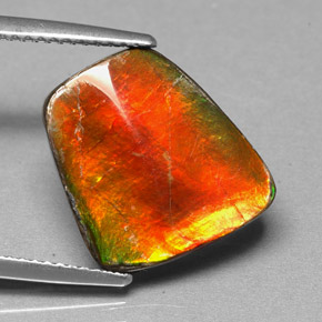 5.17캐럿 천연 멀티컬러 암몰라이트, 멋진 모양, 14.4×13.5 mm, 불투명체