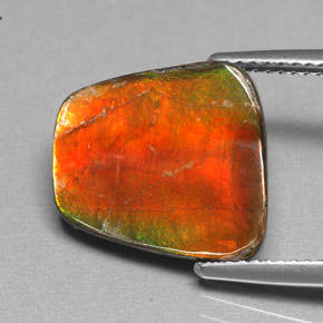 5.17캐럿 천연 멀티컬러 암몰라이트, 멋진 모양, 14.4×13.5 mm, 불투명체