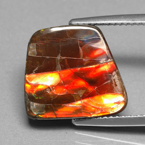 6.70캐럿 천연 멀티컬러 암몰라이트, 멋진 모양, 14.6×13.4 mm, 불투명체