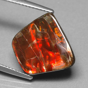 6.70캐럿 천연 멀티컬러 암몰라이트, 멋진 모양, 14.6×13.4 mm, 불투명체