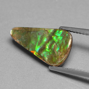 2.40캐럿 천연 멀티컬러 암몰라이트, 멋진 모양, 15.7×9.2 mm, 불투명체