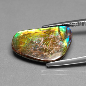 9.00캐럿 천연 멀티컬러 암몰라이트, 멋진 모양, 20.1×12.7 mm, 불투명체