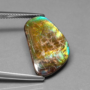 9.00캐럿 천연 멀티컬러 암몰라이트, 멋진 모양, 20.1×12.7 mm, 불투명체
