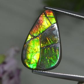 8.39캐럿 천연 멀티컬러 암몰라이트, 멋진 모양, 22.3×13.9 mm, 불투명체