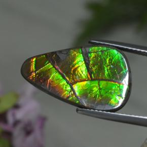 8.39캐럿 천연 멀티컬러 암몰라이트, 멋진 모양, 22.3×13.9 mm, 불투명체