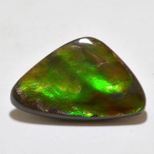 7.10캐럿 천연 멀티컬러 암몰라이트, 멋진 모양, 20.5×13 mm, 불투명체