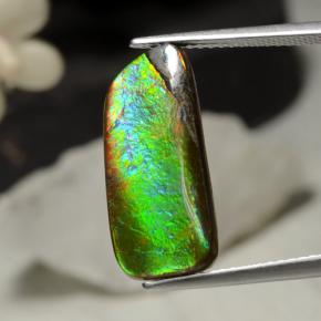 5.29캐럿 천연 멀티컬러 암몰라이트, 멋진 모양, 19.5×8.8 mm, 불투명체
