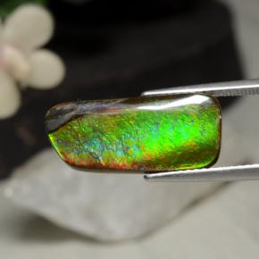 5.29캐럿 천연 멀티컬러 암몰라이트, 멋진 모양, 19.5×8.8 mm, 불투명체