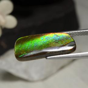 5.29캐럿 천연 멀티컬러 암몰라이트, 멋진 모양, 19.5×8.8 mm, 불투명체