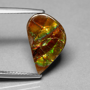 3.59캐럿 천연 멀티컬러 암몰라이트, 멋진 모양, 16.8×10.2 mm, 불투명체