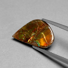 3.59캐럿 천연 멀티컬러 암몰라이트, 멋진 모양, 16.8×10.2 mm, 불투명체