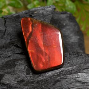 6.67캐럿 천연 다색 암몰라이트, 멋진 모양, 불투명체