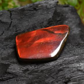 6.67캐럿 천연 다색 암몰라이트, 멋진 모양, 불투명체