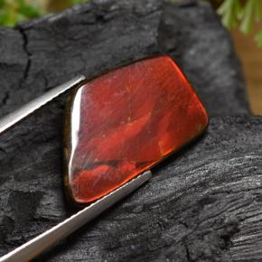 6.67캐럿 천연 다색 암몰라이트, 멋진 모양, 불투명체