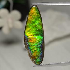 5.43캐럿 천연 멀티컬러 암몰라이트, 멋진 모양, 24.6×8.5 mm, 불투명체
