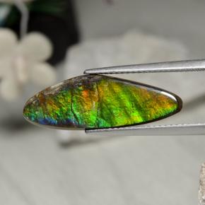 5.43캐럿 천연 멀티컬러 암몰라이트, 멋진 모양, 24.6×8.5 mm, 불투명체