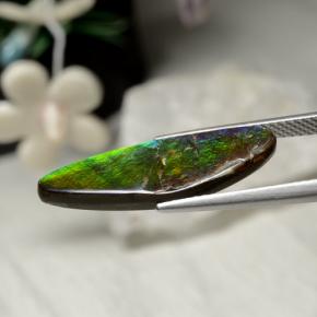 5.43캐럿 천연 멀티컬러 암몰라이트, 멋진 모양, 24.6×8.5 mm, 불투명체
