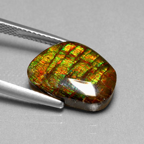 6.74캐럿 천연 멀티컬러 암몰라이트, 멋진 모양, 14.9×10.9 mm, 불투명체