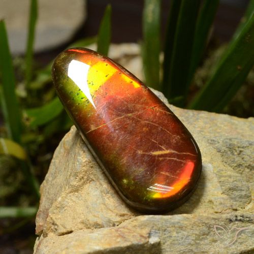 23.51ct 자연스러운 다색 암몰라이트, 팬시한, 불투명체
