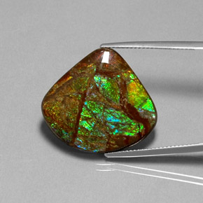 18.68캐럿 천연 멀티컬러 암몰라이트, 멋진 모양, 24.6×22.3 mm, 불투명체