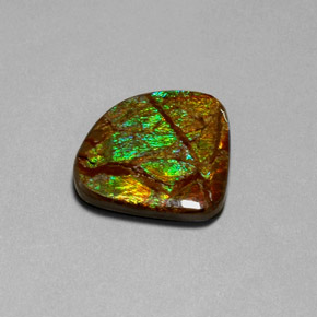 18.68캐럿 천연 멀티컬러 암몰라이트, 멋진 모양, 24.6×22.3 mm, 불투명체