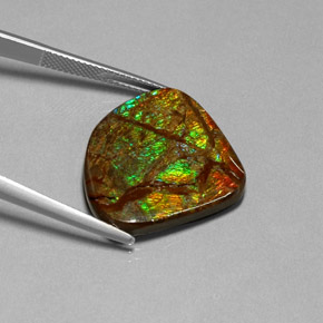 18.68캐럿 천연 멀티컬러 암몰라이트, 멋진 모양, 24.6×22.3 mm, 불투명체