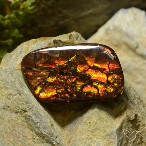 17.42ct 자연스러운 다색 암몰라이트, 팬시한, 불투명체