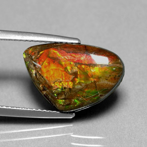 5.71캐럿 천연 멀티컬러 암몰라이트, 멋진 모양, 16.5×11.1 mm, 불투명체