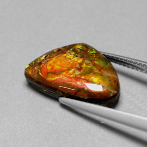 5.71캐럿 천연 멀티컬러 암몰라이트, 멋진 모양, 16.5×11.1 mm, 불투명체