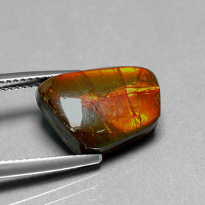 6.41캐럿 천연 멀티컬러 암몰라이트, 멋진 모양, 14.4×10.2 mm, 불투명체