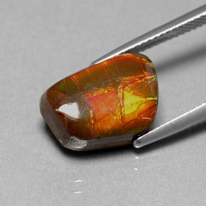 6.41캐럿 천연 멀티컬러 암몰라이트, 멋진 모양, 14.4×10.2 mm, 불투명체