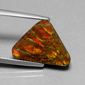 6.44캐럿 천연 멀티컬러 암몰라이트, 멋진 모양, 17.3×12.6 mm, 불투명체