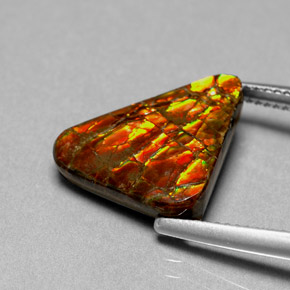 6.44캐럿 천연 멀티컬러 암몰라이트, 멋진 모양, 17.3×12.6 mm, 불투명체