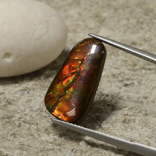 6.70캐럿 천연 멀티컬러 암몰라이트, 멋진 모양, 18.9×9.7 mm, 불투명체