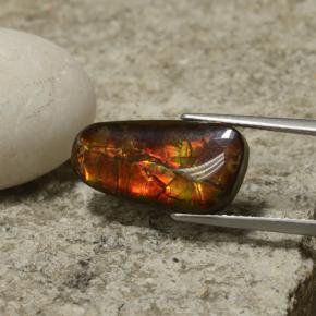 6.70캐럿 천연 멀티컬러 암몰라이트, 멋진 모양, 18.9×9.7 mm, 불투명체