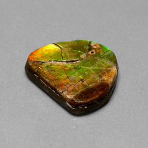 7.00캐럿 천연 멀티컬러 암몰라이트, 멋진 모양, 15.3×13.4 mm, 불투명체