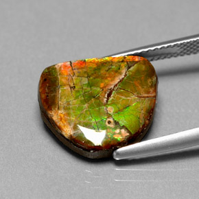 7.00캐럿 천연 멀티컬러 암몰라이트, 멋진 모양, 15.3×13.4 mm, 불투명체