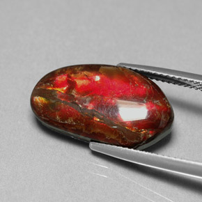 7.65캐럿 천연 멀티컬러 암몰라이트, 멋진 모양, 19.5×11 mm, 불투명체