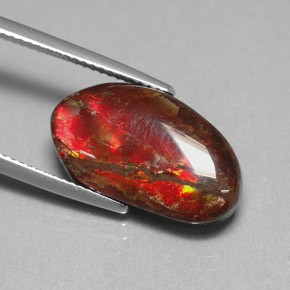 7.65캐럿 천연 멀티컬러 암몰라이트, 멋진 모양, 19.5×11 mm, 불투명체