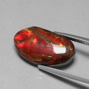 7.65캐럿 천연 멀티컬러 암몰라이트, 멋진 모양, 19.5×11 mm, 불투명체