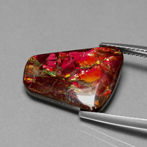 7.81캐럿 천연 멀티컬러 암몰라이트, 멋진 모양, 17.5×13.1 mm, 불투명체